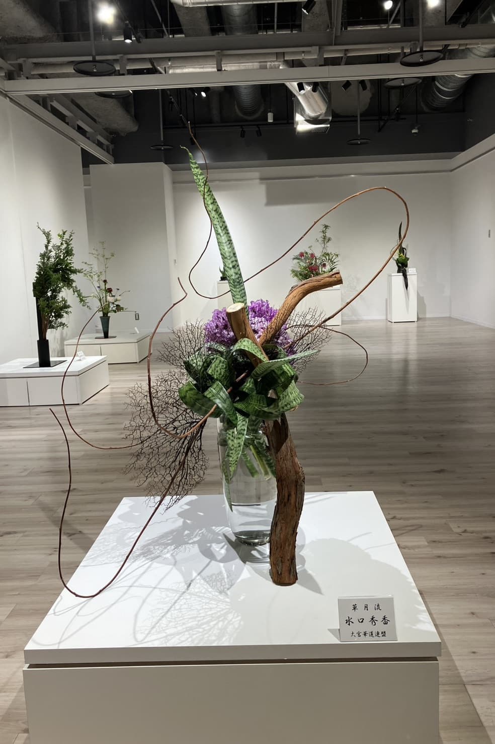 華展出展作品